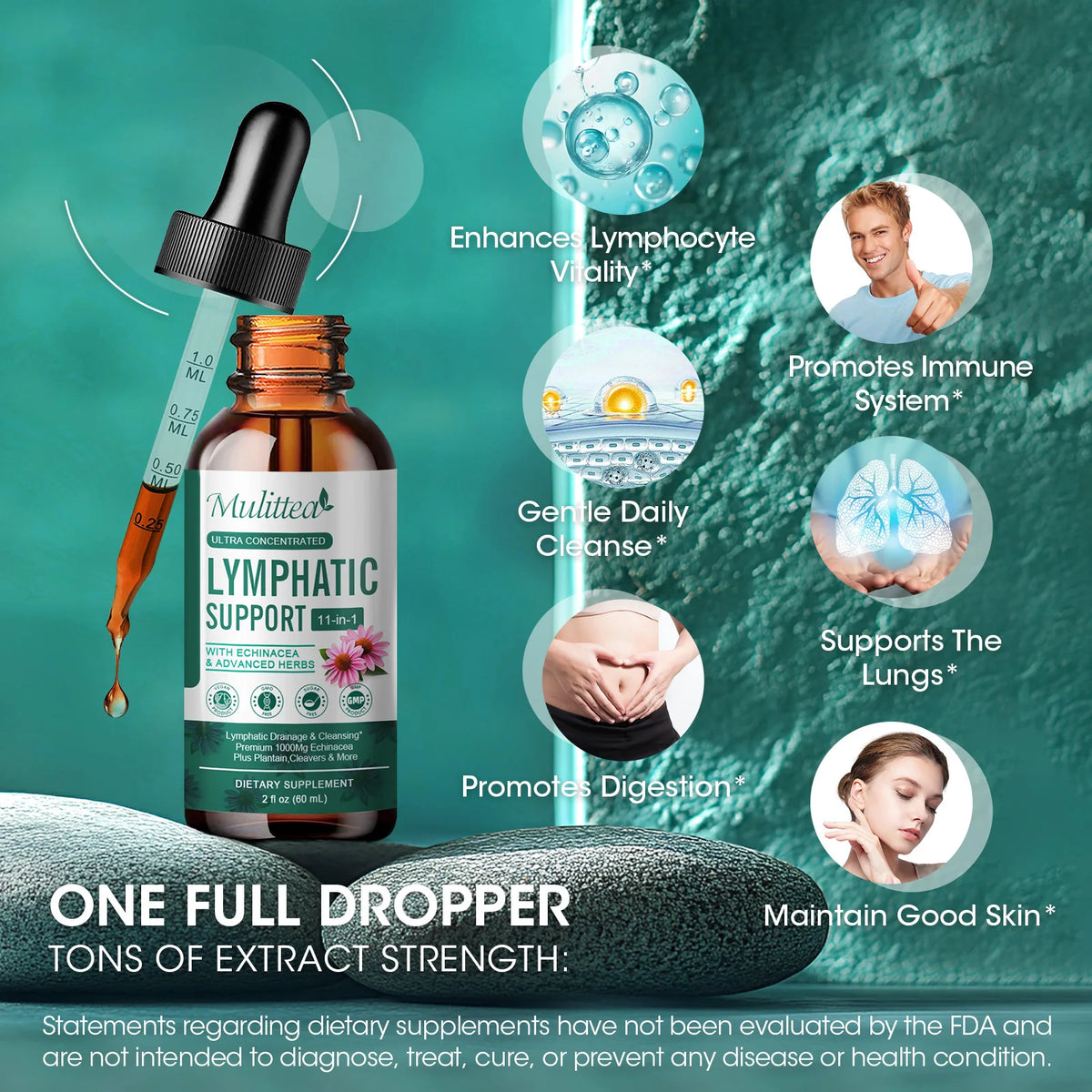 60ml Lymphatic Support Drops 11 in 1 Echinacea Extract Natural Herbs Supplement for Improves Fluid Circulation Enhances Immunity